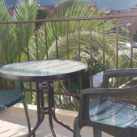 6 Palmi Budva