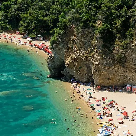 6 Palmi Budva