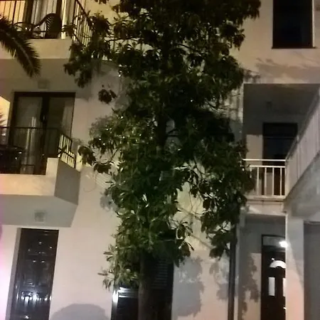 6 Palmi